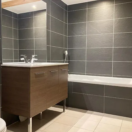 Grand Lumineux, 10 Pers, Animaux Admis, 250m Des Pistes - Fr-1-811-13 *