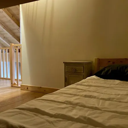 Grand Lumineux, 10 Pers, Animaux Admis, 250m Des Pistes Appartamento Les Deux Alpes