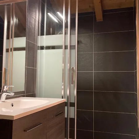 Grand Lumineux, 10 Pers, Animaux Admis, 250m Des Pistes * Les Deux Alpes