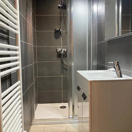 Apartment Grand Lumineux 7 Pieces, 250m Pistes, 10 Pers, Animaux Admis - Fr-1-811-13 *