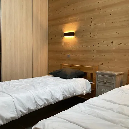 Grand Lumineux 7 Pieces, 250m Pistes, 10 Pers, Animaux Admis - Fr-1-811-13