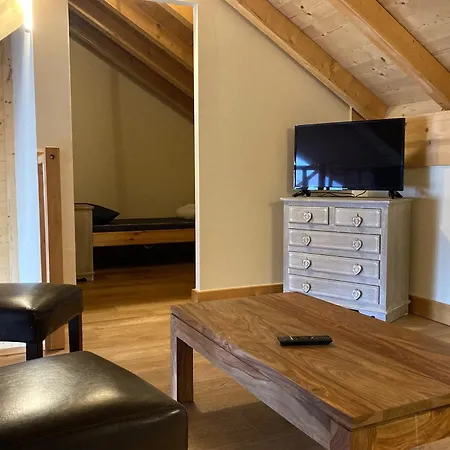 Apartment Grand Lumineux 7 Pieces, 250m Pistes, 10 Pers, Animaux Admis - Fr-1-811-13
