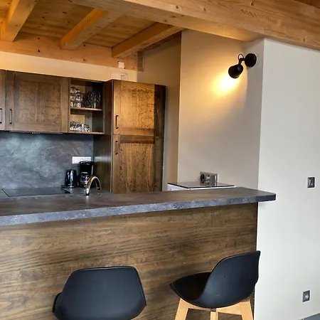 Grand Lumineux, 10 Pers, Animaux Admis, 250m Des Pistes Appartamento