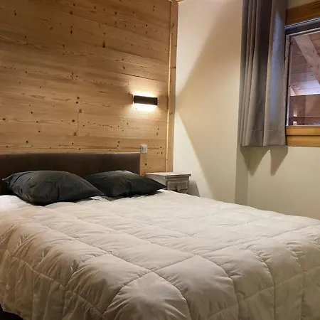 Grand Lumineux, 10 Pers, Animaux Admis, 250m Des Pistes - Fr-1-811-13 *