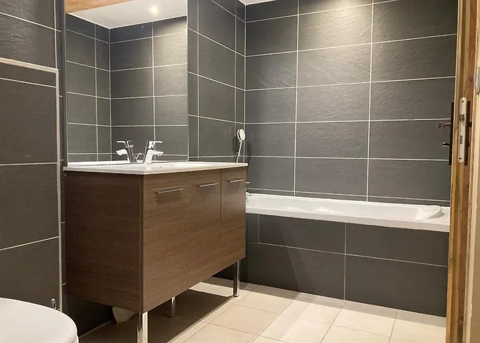 Grand Lumineux, 10 Pers, Animaux Admis, 250m Des Pistes - Fr-1-811-13 *