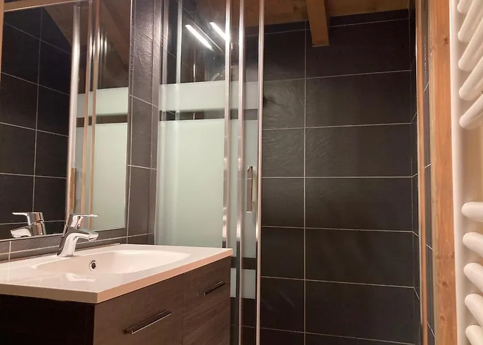 Grand Lumineux, 10 Pers, Animaux Admis, 250m Des Pistes - Fr-1-811-13 * Les Deux Alpes