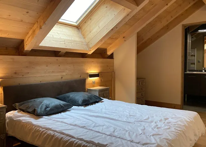 Apartment Grand Lumineux, 10 Pers, Animaux Admis, 250m Des Pistes - Fr-1-811-13