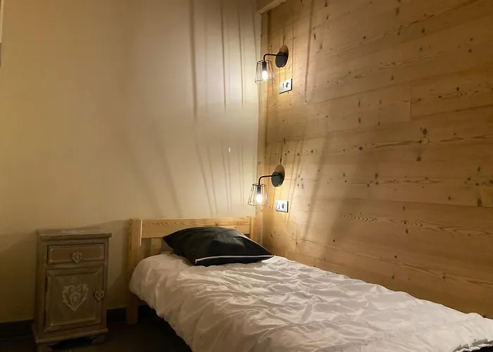 Grand Lumineux, 10 Pers, Animaux Admis, 250m Des Pistes - Fr-1-811-13 * Les Deux Alpes