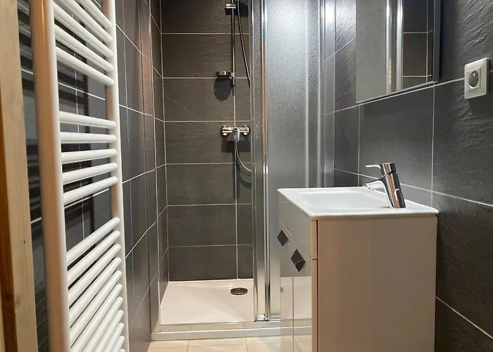 Apartment Grand Lumineux, 10 Pers, Animaux Admis, 250m Des Pistes - Fr-1-811-13 *