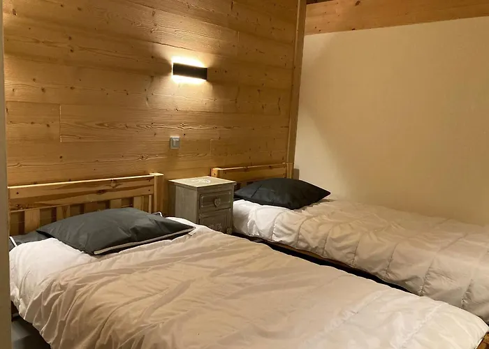 Grand Lumineux, 10 Pers, Animaux Admis, 250m Des Pistes - Fr-1-811-13 Apartment Les Deux Alpes