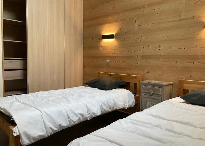 Grand Lumineux, 10 Pers, Animaux Admis, 250m Des Pistes - Fr-1-811-13