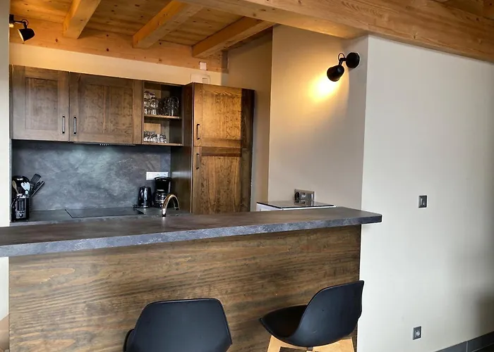 Grand Lumineux, 10 Pers, Animaux Admis, 250m Des Pistes - Fr-1-811-13 Apartment