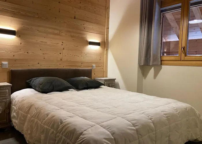 Grand Lumineux, 10 Pers, Animaux Admis, 250m Des Pistes - Fr-1-811-13 *