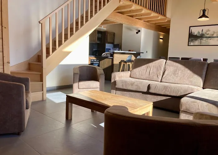 Grand Lumineux, 10 Pers, Animaux Admis, 250m Des Pistes - Fr-1-811-13 *